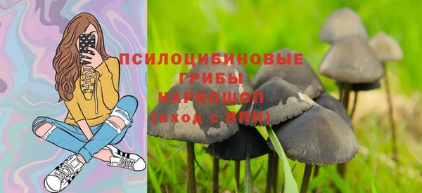 дживик Волосово