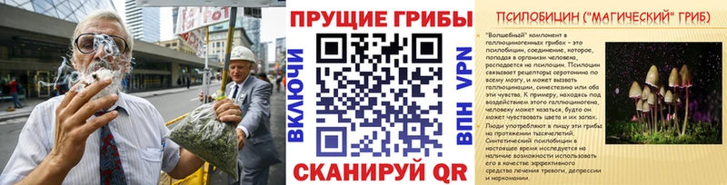 Купить закладки  Лебедянь  Псилоцибиновые грибы Cubensis 